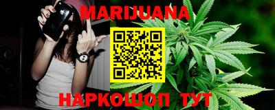 Альфа ПВП Канаш
