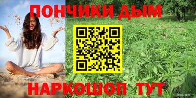 Альфа ПВП Канаш