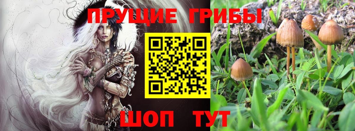 Лангепас  Галлюциногенные грибы GOLDEN TEACHER  Вход с VPN 